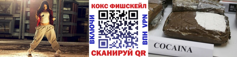 COCAIN FishScale  Купить где  Бирюсинск 