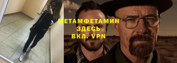 гидра Вязьма