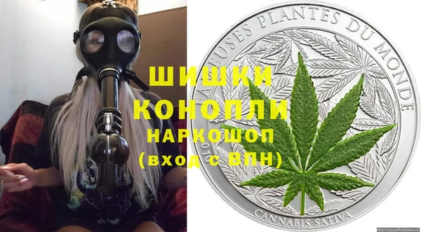 гидра Вязьма