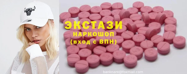 гидра Вязьма