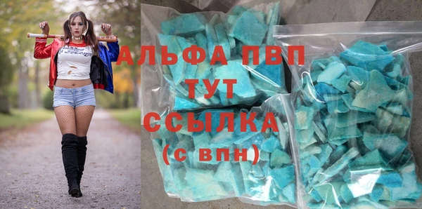 гидра Вязьма