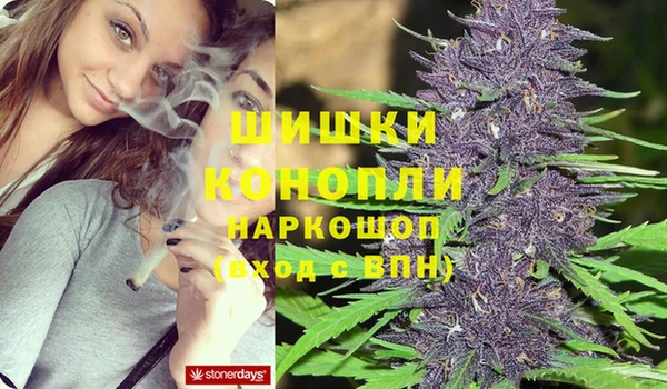 гидра Вязьма