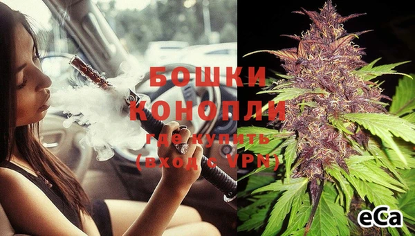 гидра Вязьма