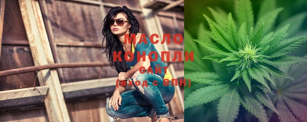 гидра Вязьма