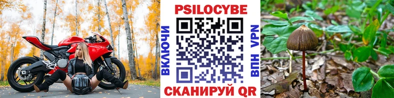 Псилоцибиновые грибы MAGIC MUSHROOMS Купить закладки Бирюсинск